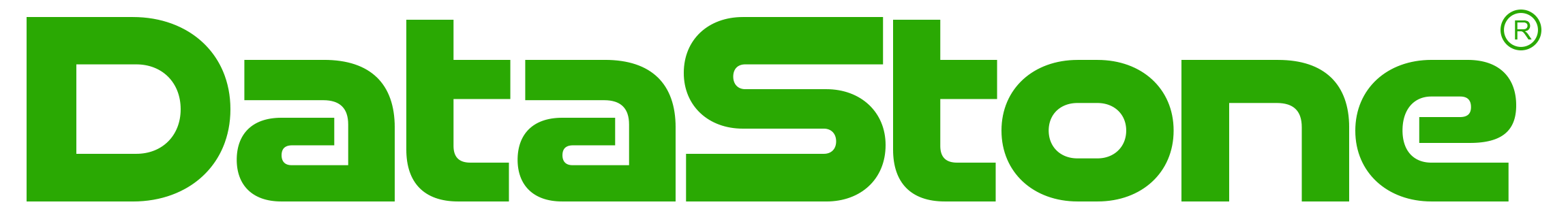 DataStone logo